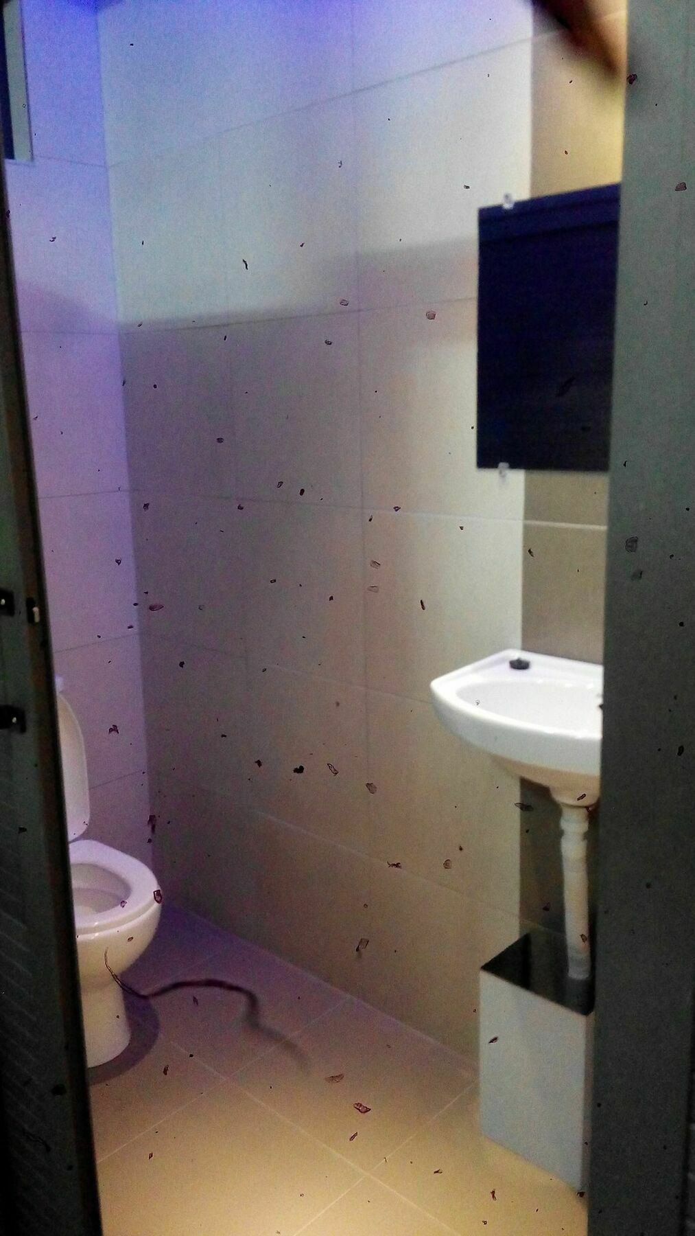 Residence Les Bambous Mahébourg Екстериор снимка